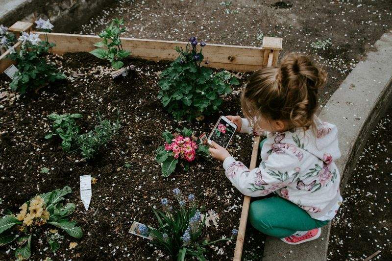 春の庭をやさしく整える、植え替え前の準備